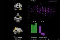 Brain Mechanisms Behind Empathy Deficits in Psychopaths