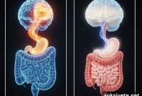 Probiotic Delivery Toggles Brain Between Memory and Mood