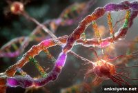 Two Genetic Mutations That Trigger Parkinson’s Neurodegeneration
