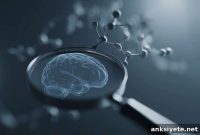 Study Challenges Spirit Molecule Role of DMT in Rat Brains
