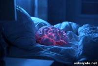How Sleep Protects Brain Mitochondria from Toxic Waste