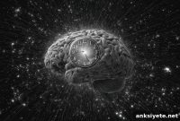 How Limited Experience Speeds Neural Adaptation