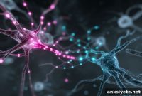 Two Enzymes Rewire Your Brain for Social Interaction and Memory