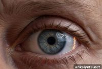 Peripheral Eye Scan Detects Alzheimer’s Before Symptoms
