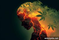 Teen Cannabis Use Doubles Risk of Psychosis and Bipolar Disorder