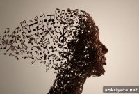 Why the Brain Constantly Seeks Musical Harmony