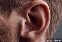 Study Finds Hidden Cause of Permanent Hearing Loss