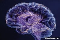 How the Brain May Store Seizures as Memories