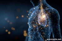 Gut-Brain-Heart Axis: How Microbes Affect Blood Pressure