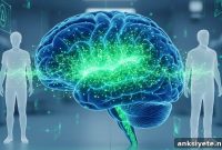 Why Superagers’ Brains Keep Growing New Neurons