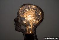 Neural Switch Speeds Fear Extinction, Study Finds