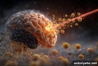 Laser Heat Enables Immunotherapy for Brain Cancer