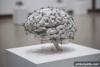 Study: AI Finds No Link Between Brain Structure and Navigation