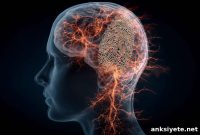AI Reveals Brain Fingerprint Linked to Chronic Pain