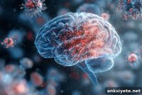 Chronic Inflammation Rewires the Brain’s Cognitive Hub