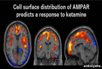 Ketamine Restores Neural Plasticity by Activating AMPA Receptors