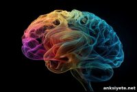 One Workout Session Triggers Brain Ripples in Humans