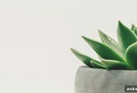 17+ Free Mindfulness Worksheets and Exercises (Printable PDFs)