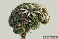 How Cannabis Alters Memory and Our Sense of Truth