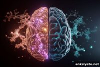 GLP-1 Drugs: Why Men and Women Respond Differently