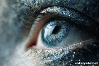 AI Models Reveal Hidden Visual Mechanisms in Living Brains