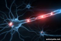 How a Brain Circuit Triggers Addiction Relapse