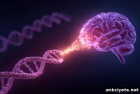 Genetic Risk Factor Identified for Rare Early-Onset Dementia