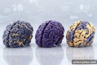 New Study Reveals Multiple Biological Causes of Alzheimer’s