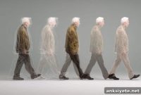 How Lifelong Activity Patterns Predict Longevity