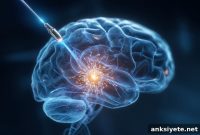 New Radio Wave Therapy Targets Brain Disorders Affecting 1 in 3