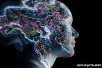 Dopamine GPS: Visual Guidance in the Brain Beyond Reward