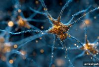 Glutamine Synthetase Enzymes Drive Brain Circuit Formation