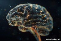 Mapping 30 Million Brain Cells to Decode Brain Function