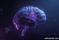 How the Primary Visual Cortex Extracts a Scene’s Gist