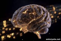 Attention Lapses Could Predict Dementia More Than Memory Tests