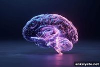 Meta Tribe AI: Foundation Model Decodes Human Brain Activity