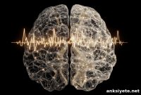 AI Shows Brain Rhythms Mirror Physical Wiring Throughout Life