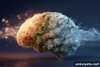 Substance Use in Young Adulthood Linked to Memory Decline by Age 65