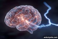 Targeting Individual Neural Pathways in the Cortex