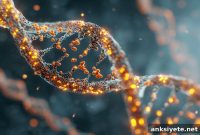 How Metabolites Reprogram Brain Genes in Addiction