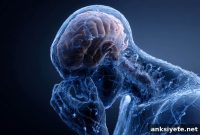 New Study Reveals Direct Link Between Stress and Addiction