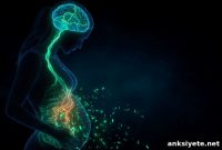 Study Finds Antibiotics During Pregnancy Linked to Depression