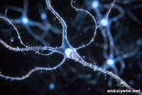 New Study Reveals Mechanism That Restores Axon Regeneration