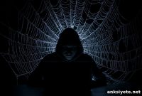 Why the Dark Web Draws Young Impulsive Risk-Takers