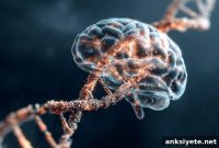 Poised Genes Regulate the Timing of Brain Development
