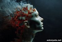 How the Brain Creates Visual Images Step by Step