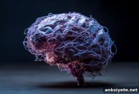 Plug and Play Sensor Tracks Developing Brain Activity