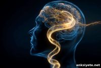 Noninvasive Stimulation Engages Brain Memory Center