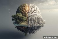 How Your Neighborhood and Country Affect Brain Aging