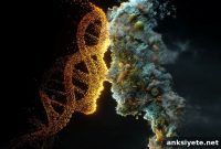 100,000 Small Factors Rival Genetic Risk for Disease